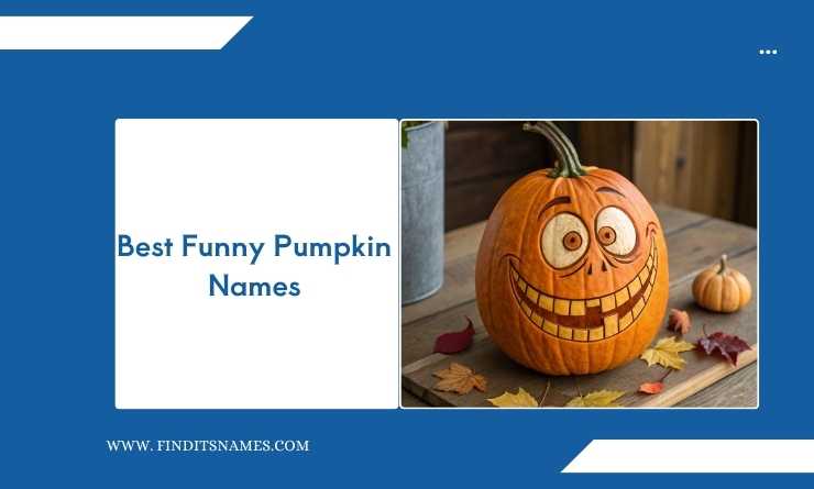Best Funny Pumpkin Names