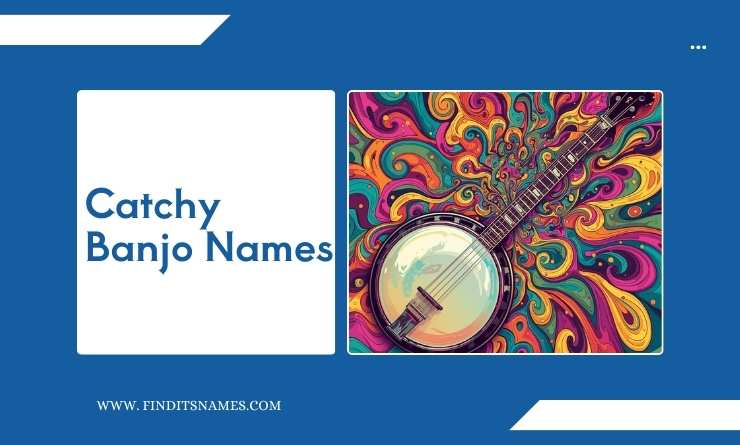 Catchy Banjo Names