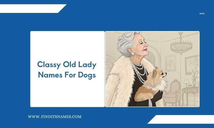 Classy Old Lady Names For Dogs