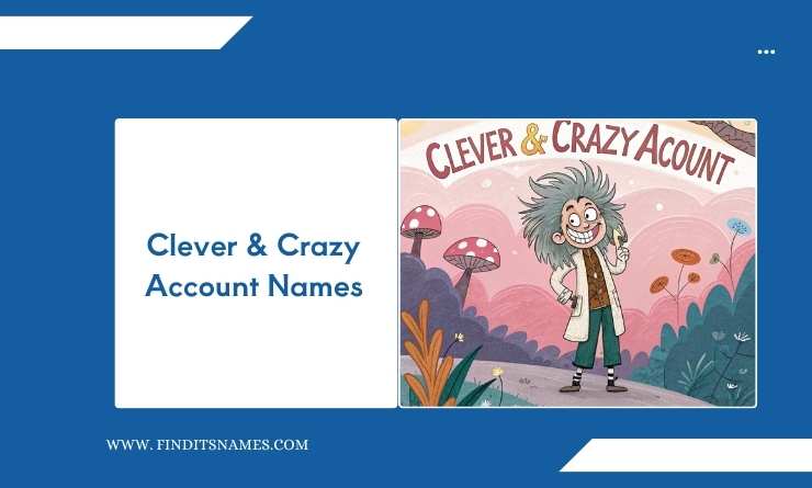 Clever & Crazy Account Names
