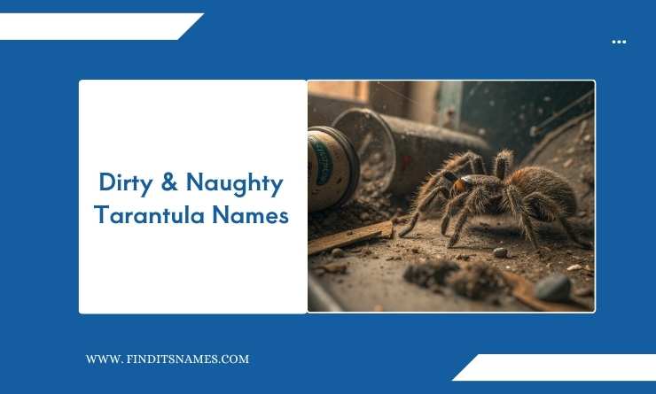 Dirty & Naughty Tarantulaย Names