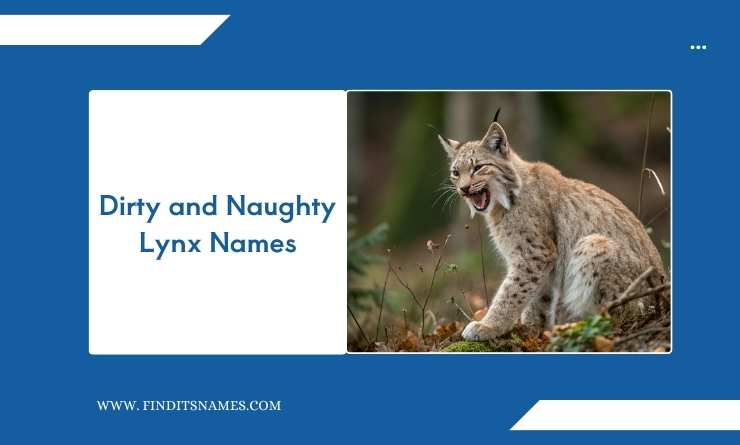 Dirty and Naughty Lynx Names