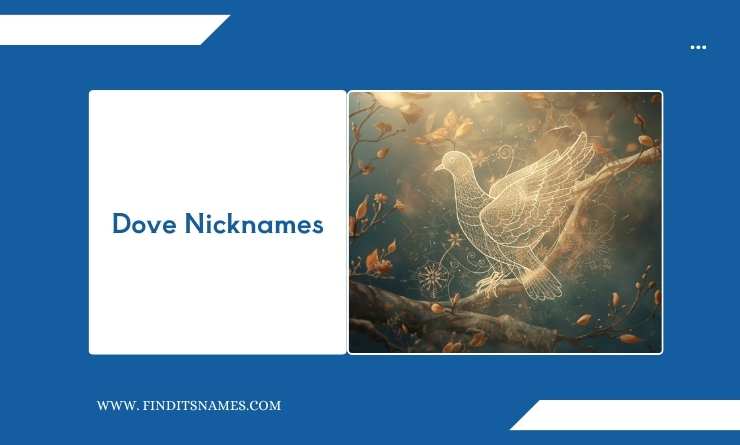 Dove Nicknames