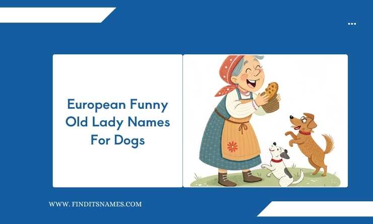 European Funny Old Lady Names For Dogs
