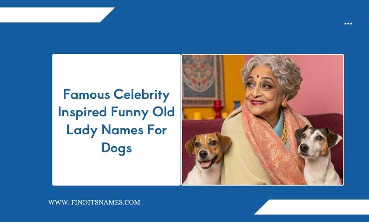 Famous Celebrity Inspired Funny Old Lady Names For Dogs