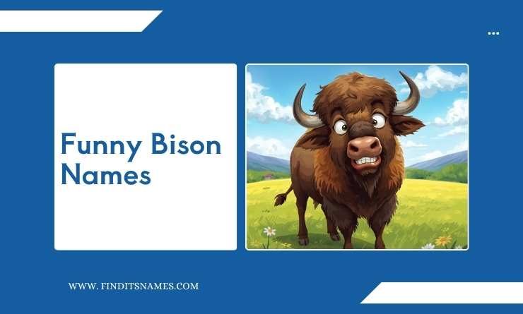 Funny Bison Names