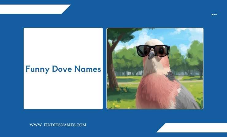 Funny Dove Names