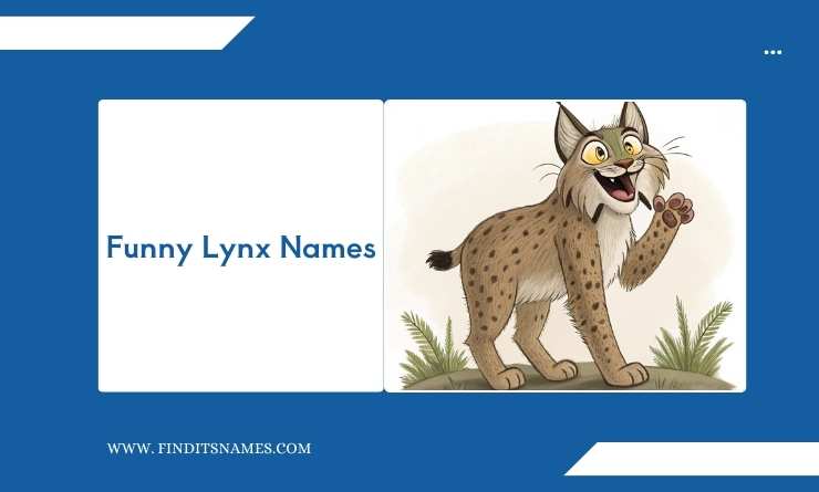 Funny Lynx Names