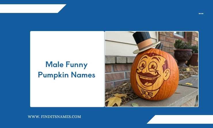 Male Funny Pumpkin Names