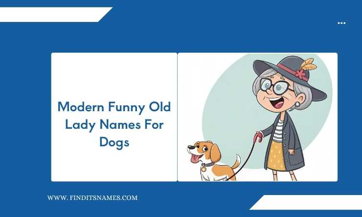 Modern Funny Old Lady Names For Dogs