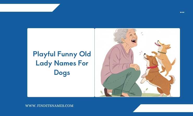 Playful Funny Old Lady Names For Dogs