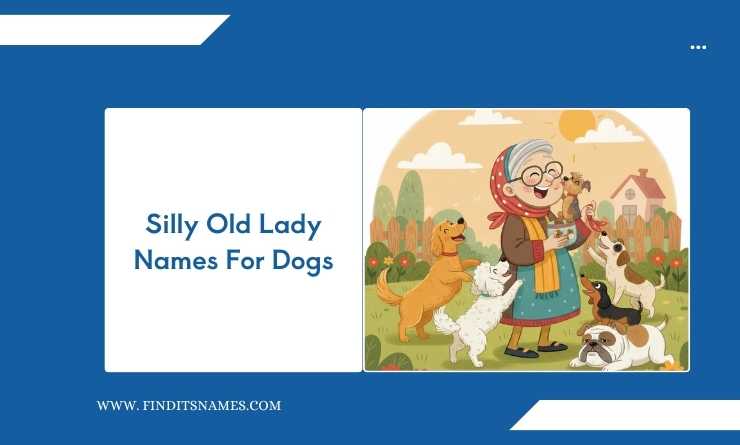 Silly Old Lady Names For Dogs