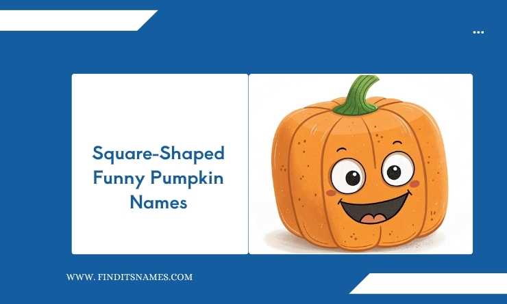 Square-Shaped Funny Pumpkin Names