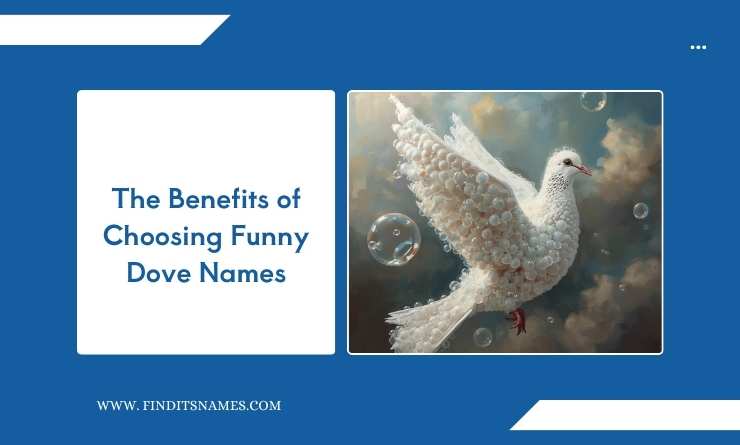 The Benefits of Choosing Funny Dove Names