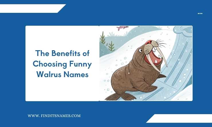 The Benefits of Choosing Funny Walrus Names