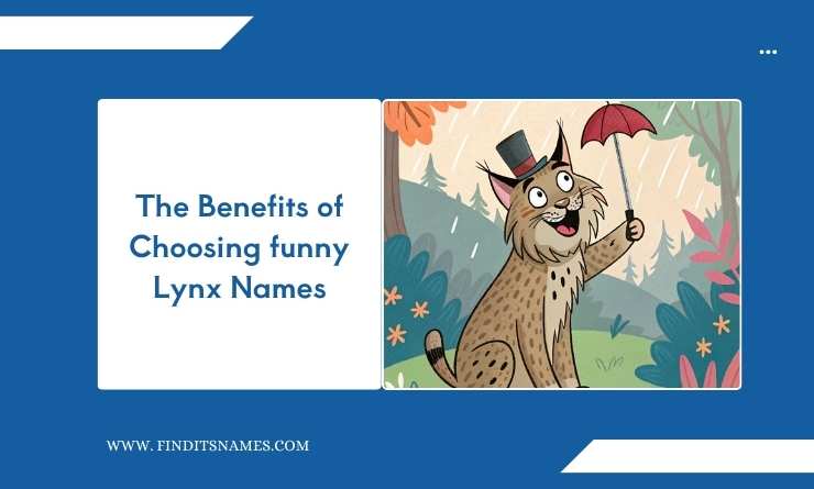 The Benefits of Choosing funny Lynx Names