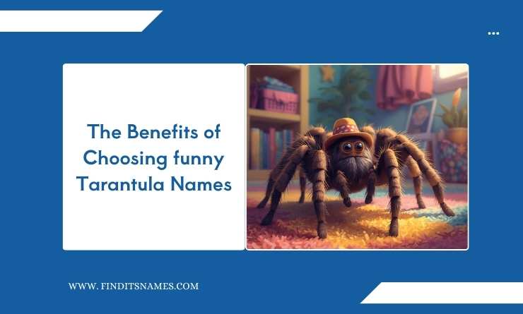 The Benefits of Choosing funny Tarantula Names