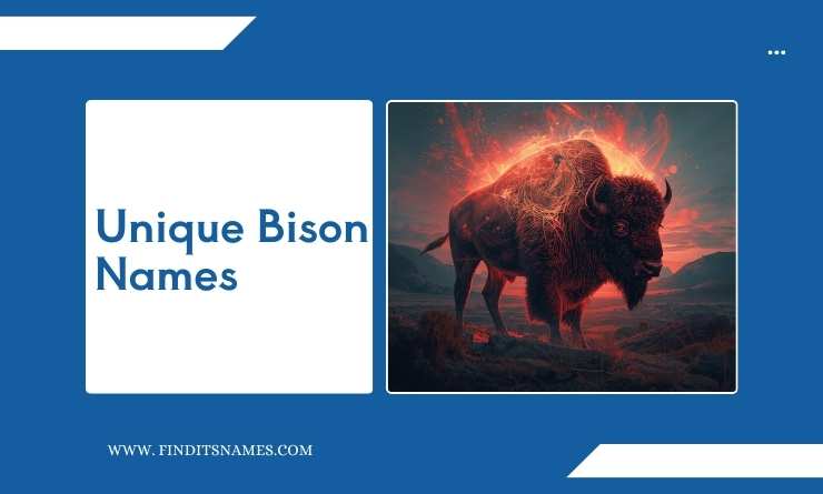 Unique Bison Names