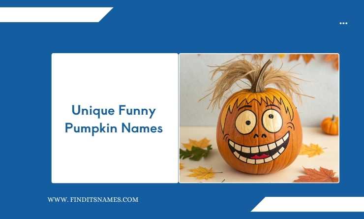 Unique Funny Pumpkin Names