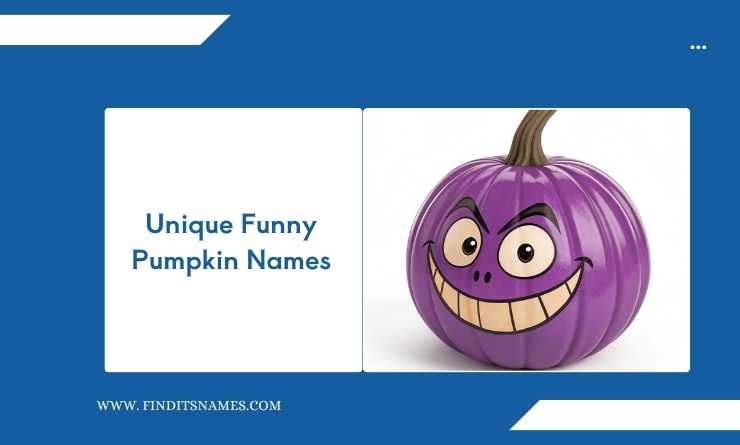 Unique Funny Pumpkin Names