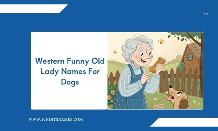 Western Funny Old Lady Names For Dogs