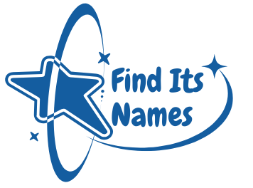 Find Its Names