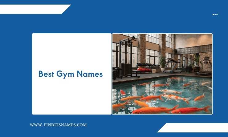 Best Gym Names