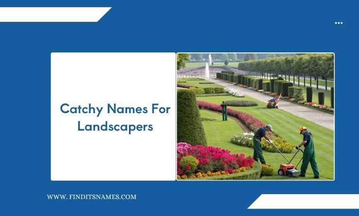 Catchy Names For Landscapers