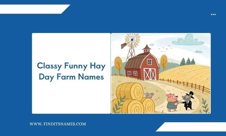 Classy Funny Hay Day Farm Names