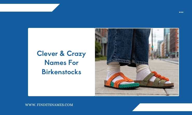 Clever & Crazy Names For Birkenstocks
