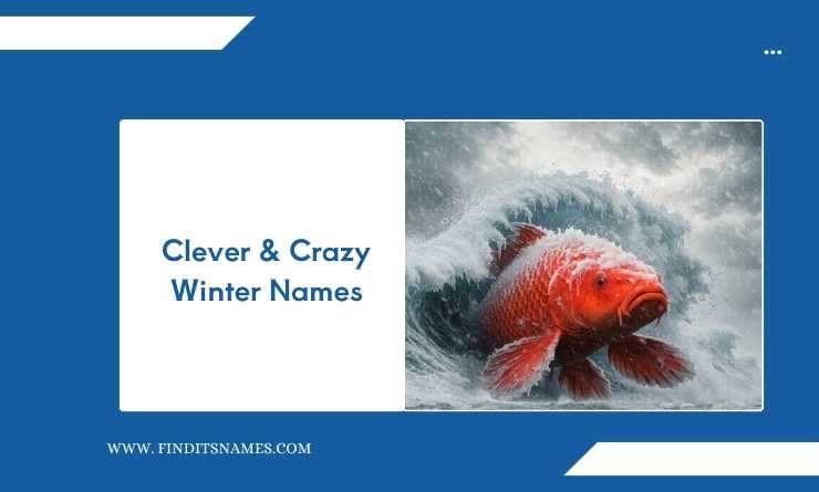 Clever & Crazy Winter Names