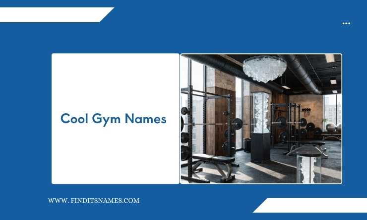 Cool Gym Names