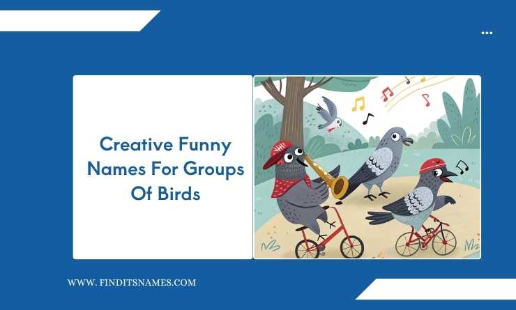 Creative Funny Names For Groups Of Birds