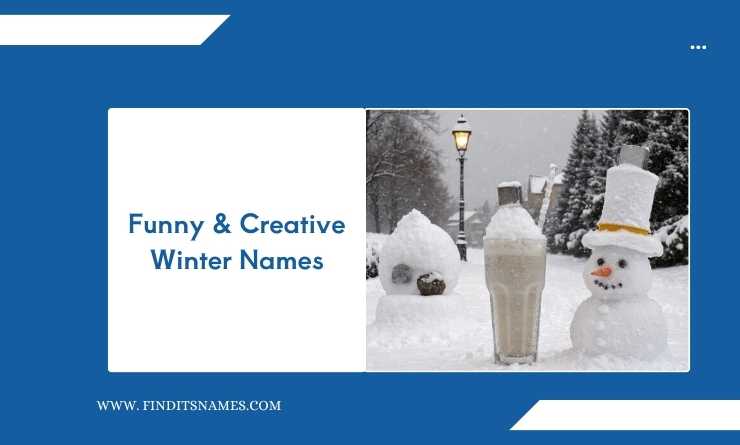 Funny & Creative Winter Names