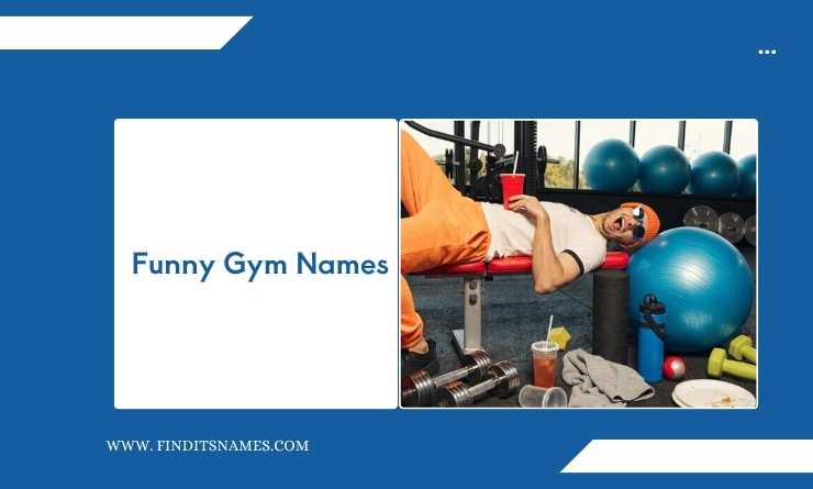Funny Gym Names