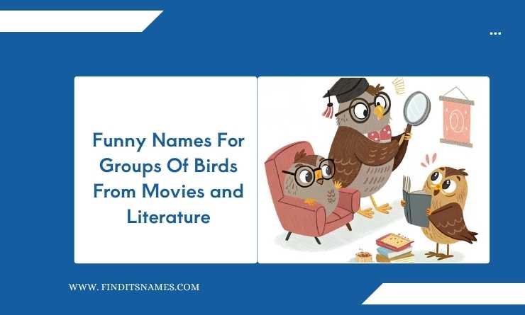 Funny Names For Groups Of Birds From Movies and Literature