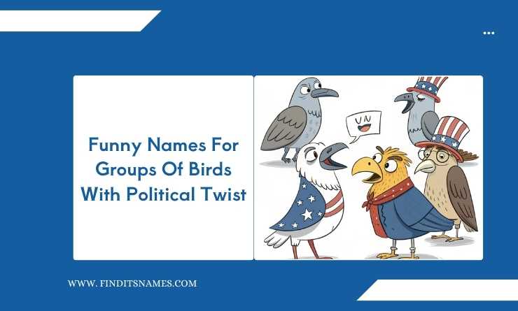 Funny Names For Groups Of Birds With Political Twist