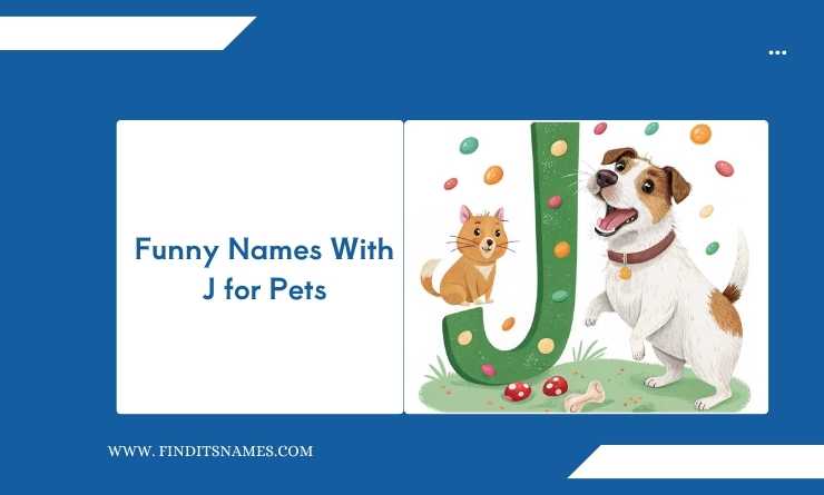 Funny Names With J for Pets