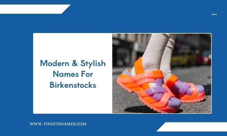 Modern & Stylish Names For Birkenstocks