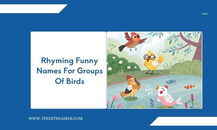 Rhyming Funny Names For Groups Of Birds