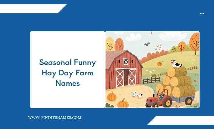 Seasonal Funny Hay Day Farm Names