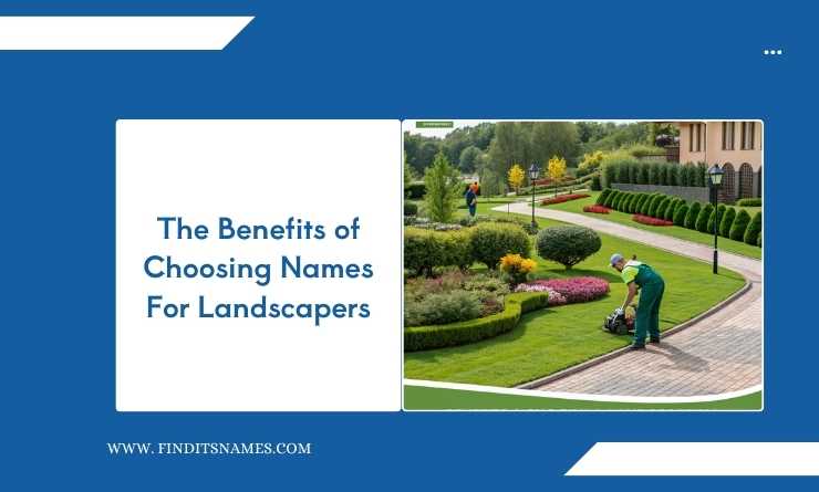 The Benefits of Choosing Names For Landscapers