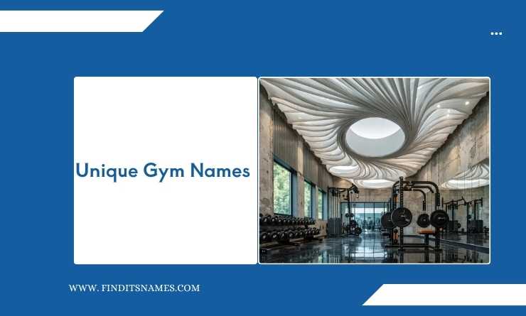 Unique Gym Names