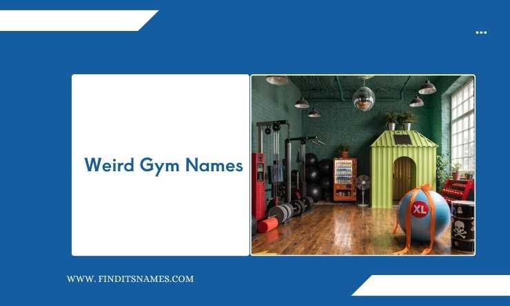 Weird Gym Names