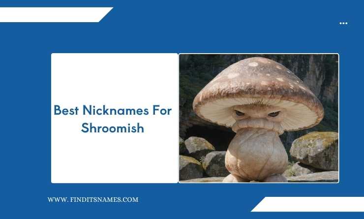 Best Nicknames For Shroomish
