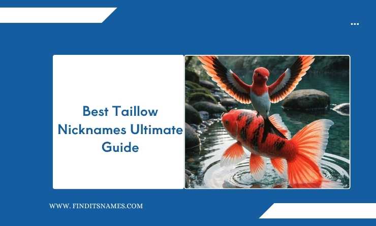 Best Taillow Nicknames Ultimate Guide