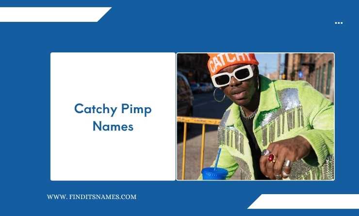 Catchy Pimp Names