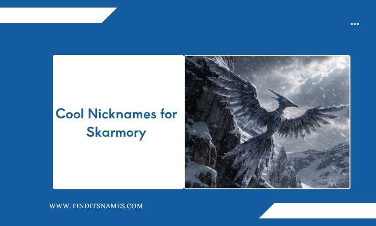 Cool Nicknames for Skarmory