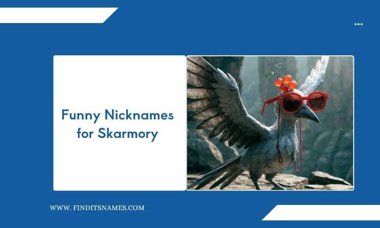 Funny Nicknames for Skarmory