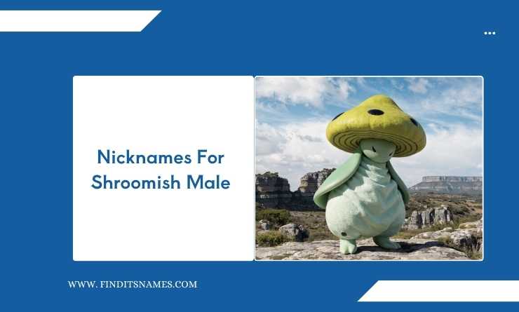 Nicknames For Shroomish Male